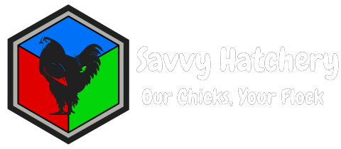 Savvy Hatchery logo